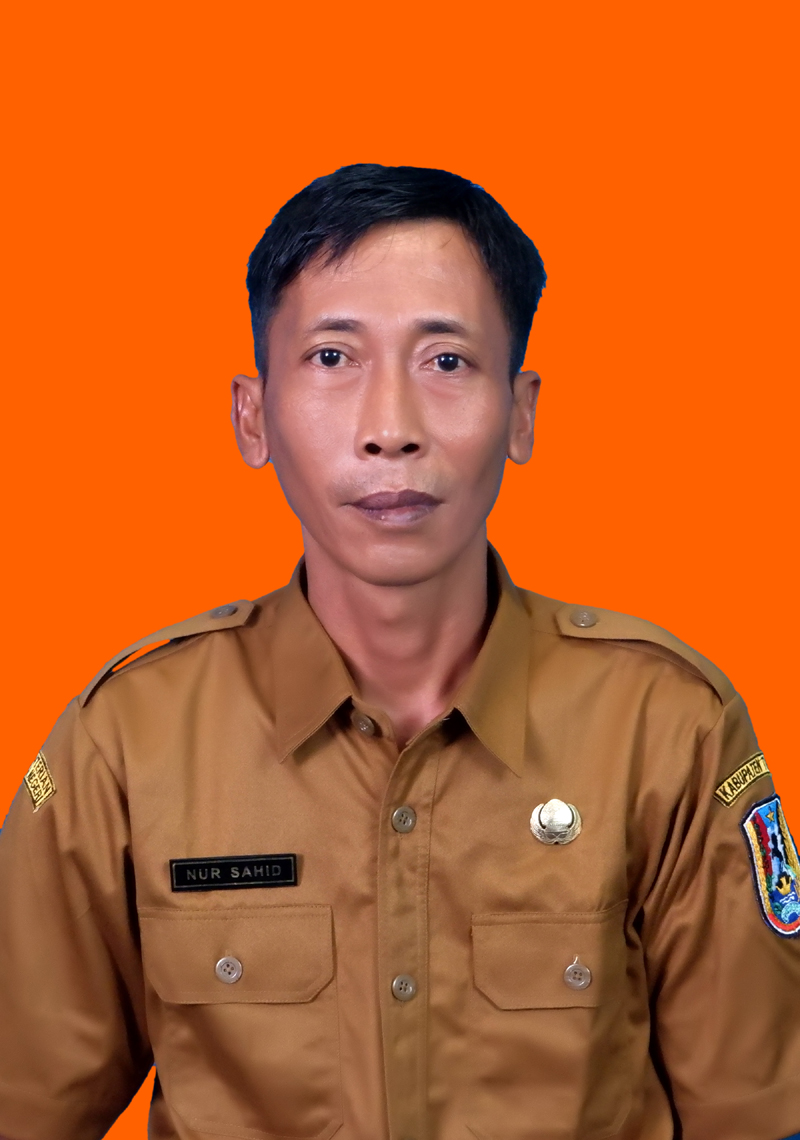 NUR SAHID